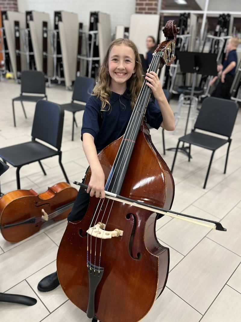 Double bass player